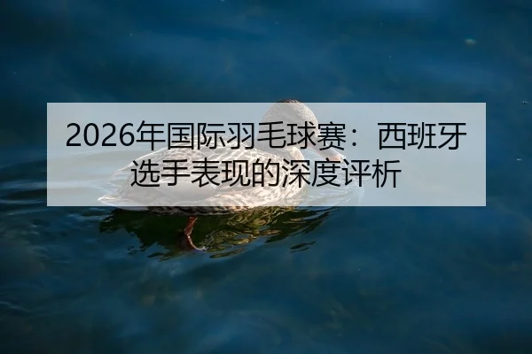 nian-guo-ji-yu-mao-qiu-sai-xi-ban-ya-xuan-shou-biao-xian-de-shen-du-ping-xi-2-625.jpg