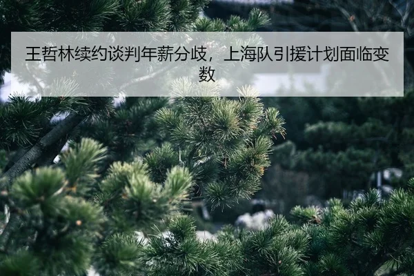 wang-zhe-lin-xu-yue-tan-pan-nian-xin-fen-qi-shang-hai-dui-yin-yuan-ji-hua-mian-lin-bian-shu-2-451.jpg